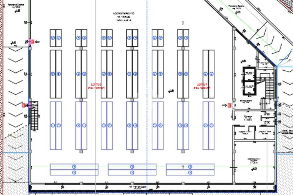 immagine annuncio 10 di 12