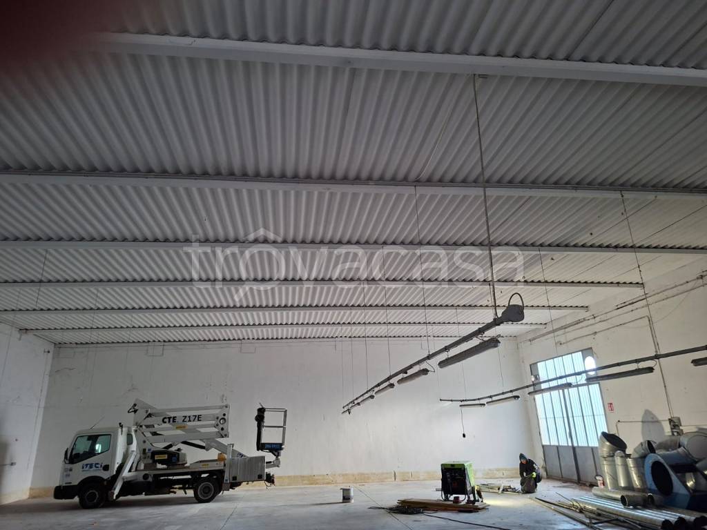 immagine annuncio 1 di 13