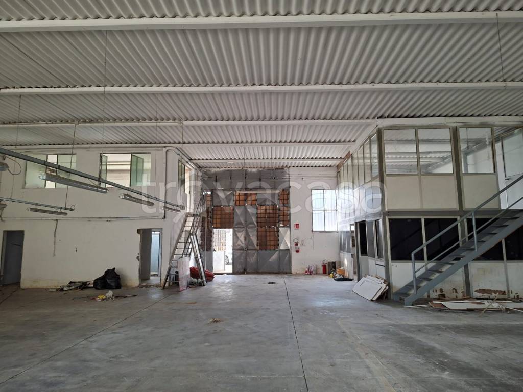 immagine annuncio 3 di 13