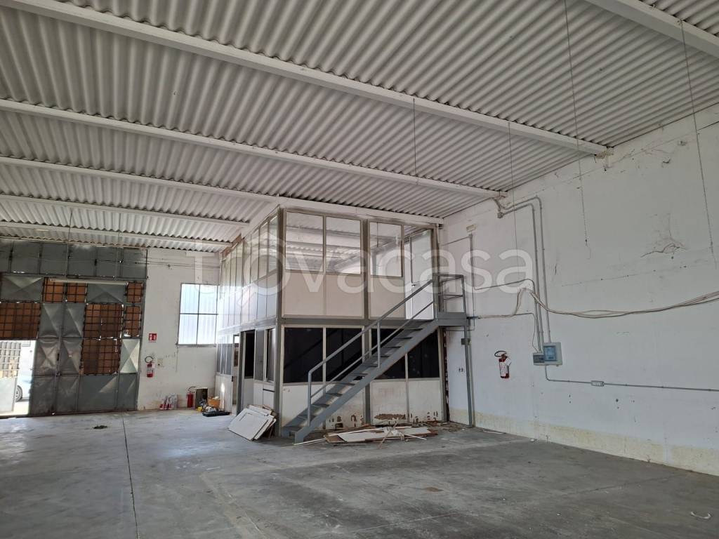 immagine annuncio 5 di 13