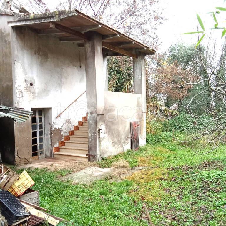 immagine annuncio 7 di 11