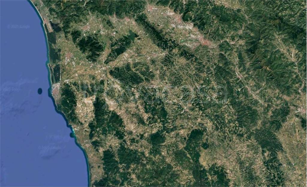 immagine annuncio 5 di 8