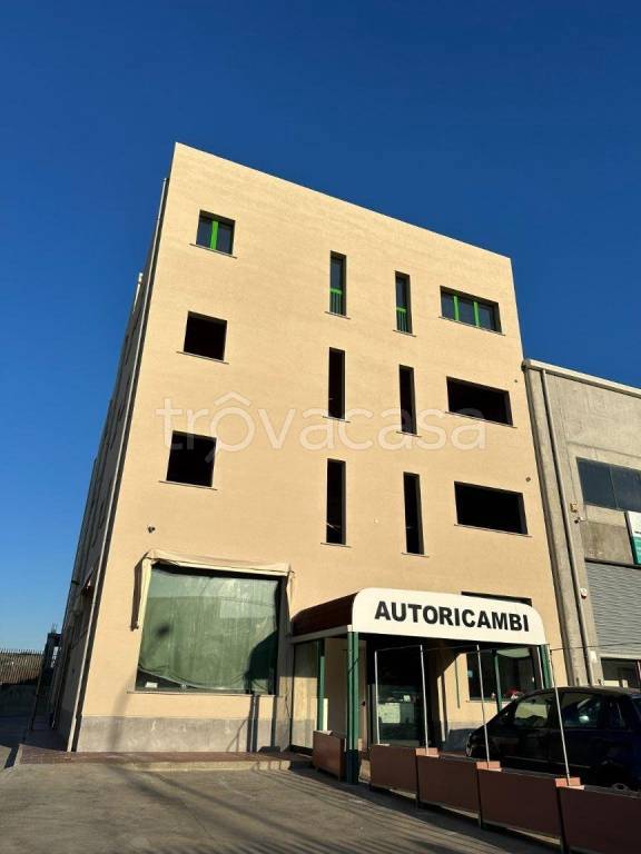 immagine annuncio 2 di 12