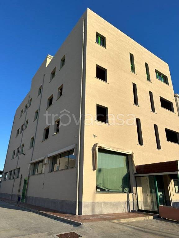 immagine annuncio 3 di 12