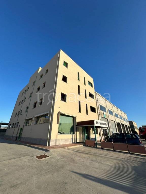 immagine annuncio 1 di 12