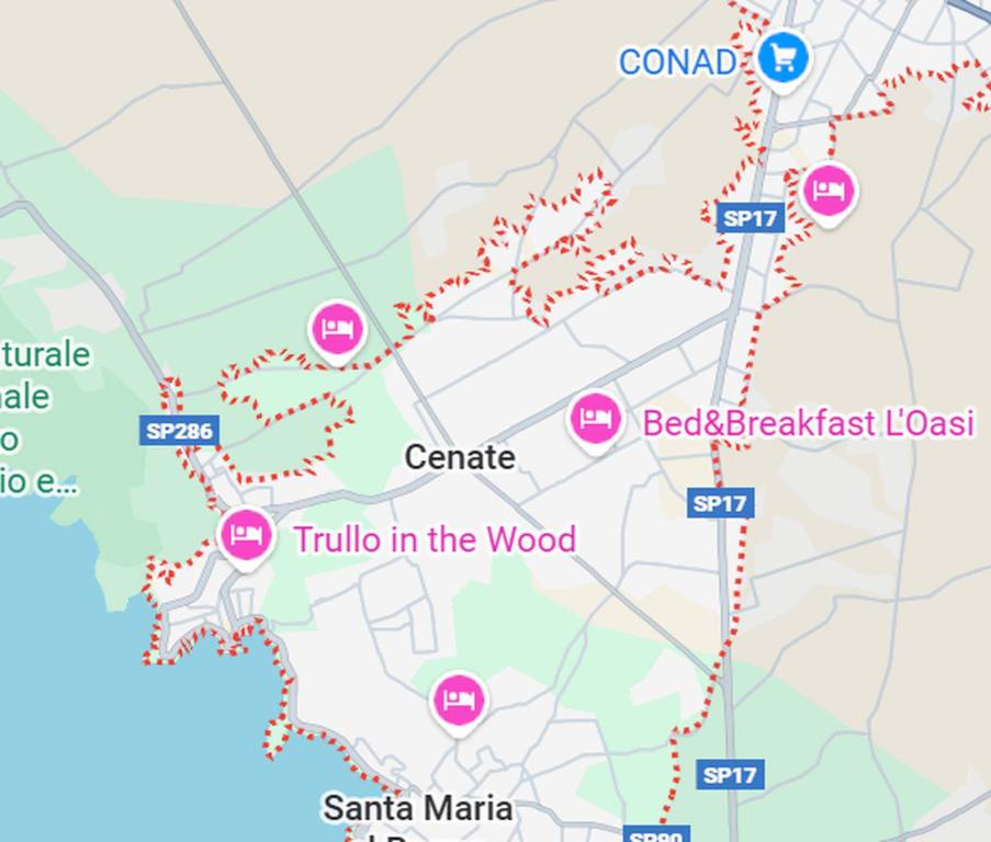 immagine annuncio 1 di 12