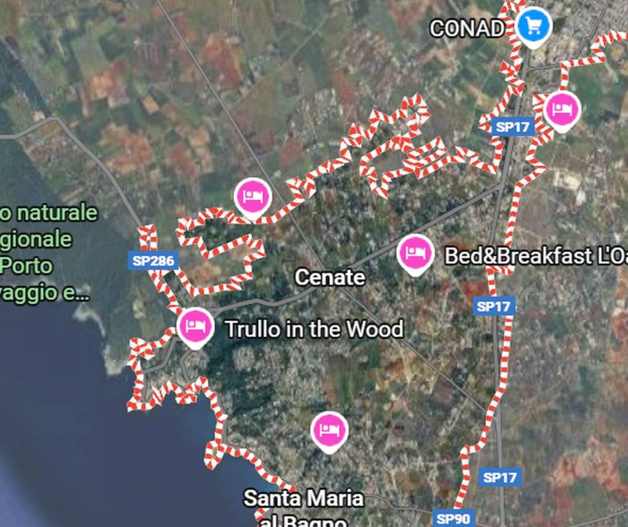 immagine annuncio 2 di 12