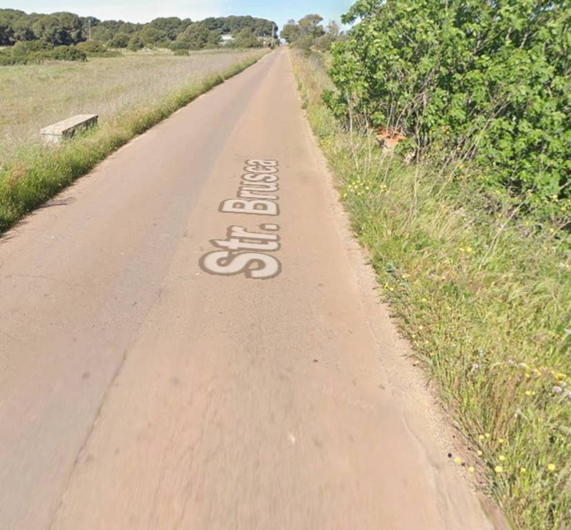 immagine annuncio 3 di 12