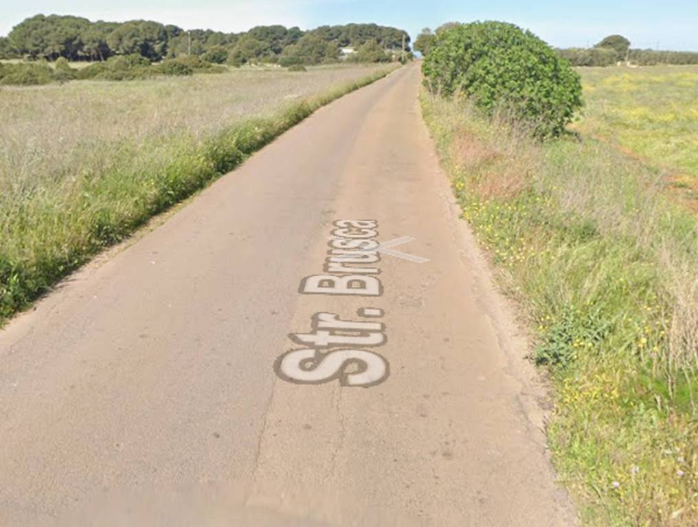 immagine annuncio 5 di 12