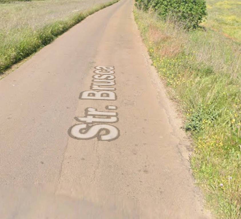 immagine annuncio 6 di 12