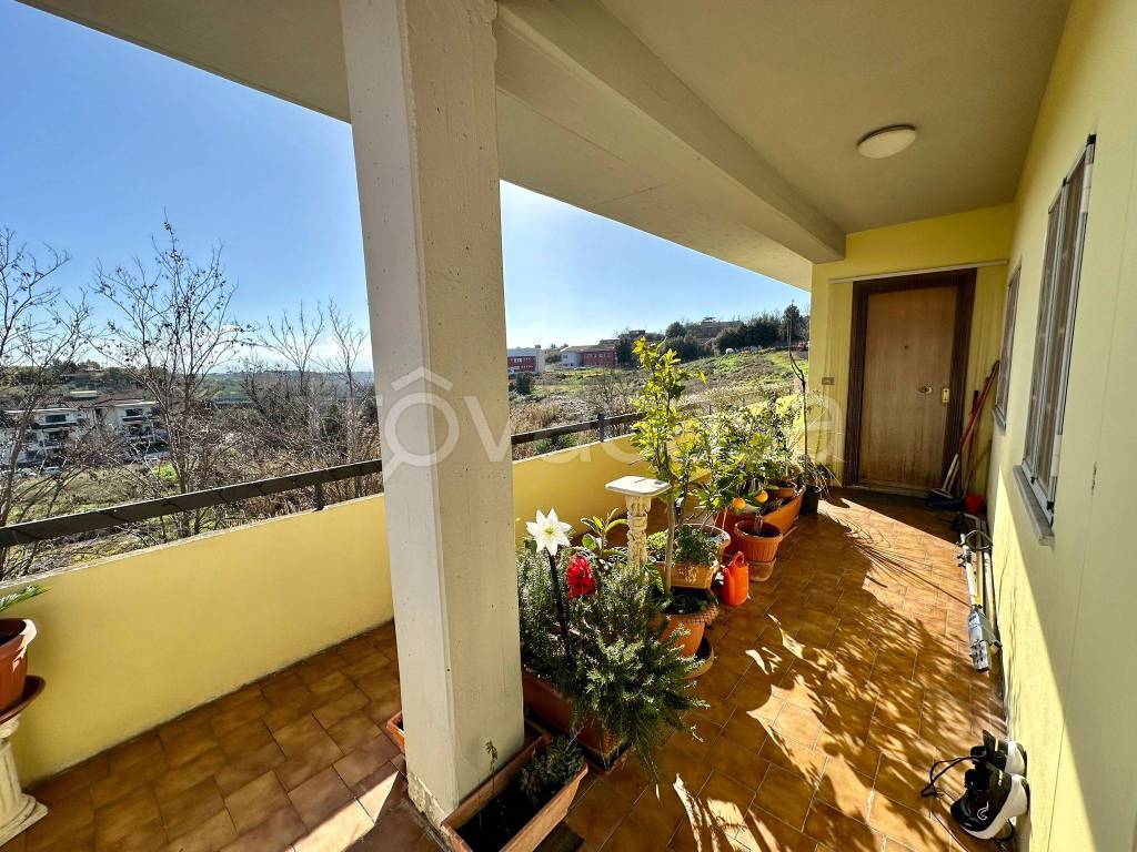 immagine annuncio 11 di 13