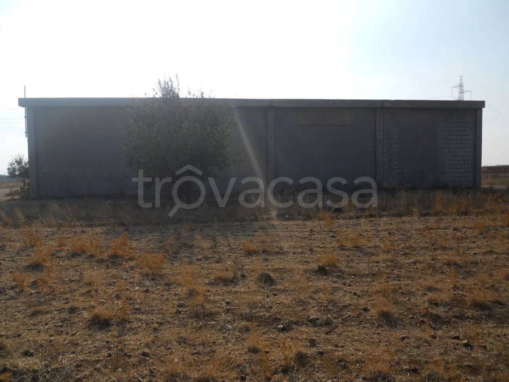 immagine annuncio 4 di 13