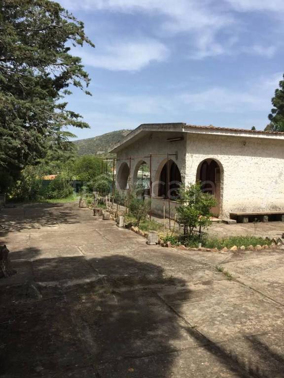 immagine annuncio 8 di 13