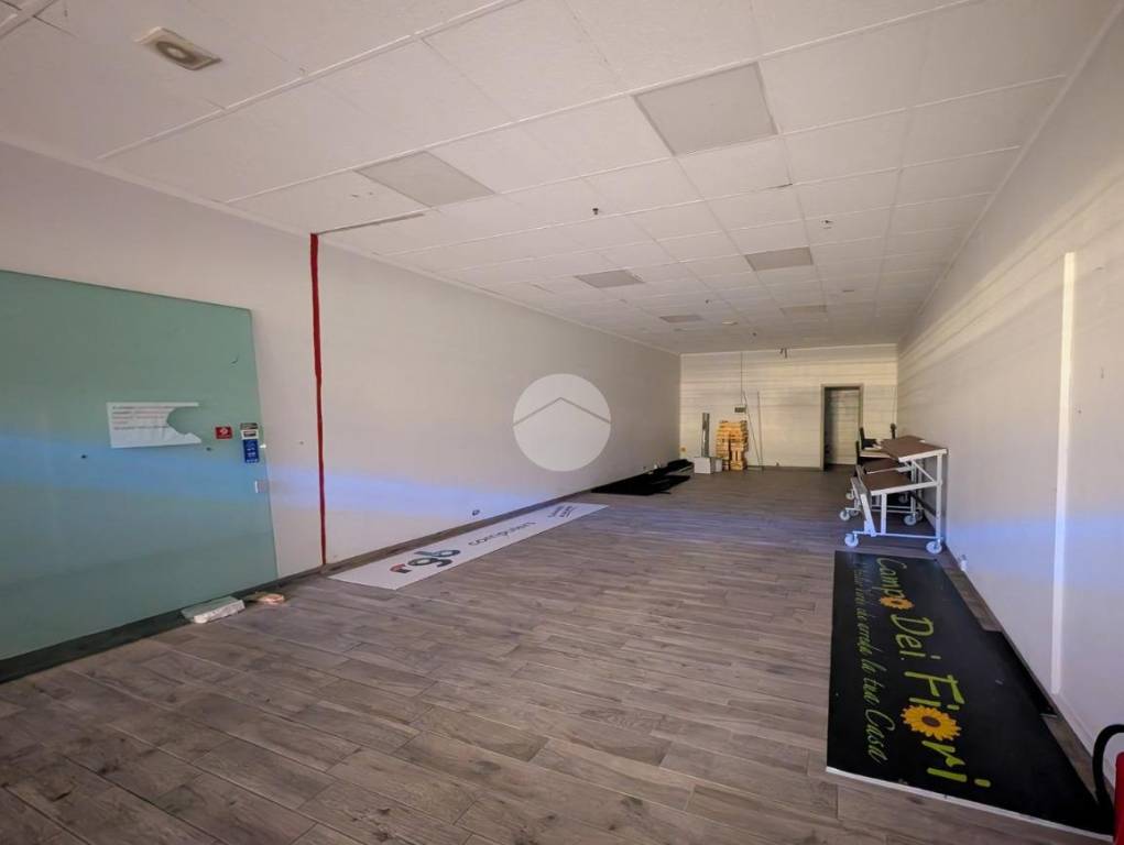 immagine annuncio 1 di 6