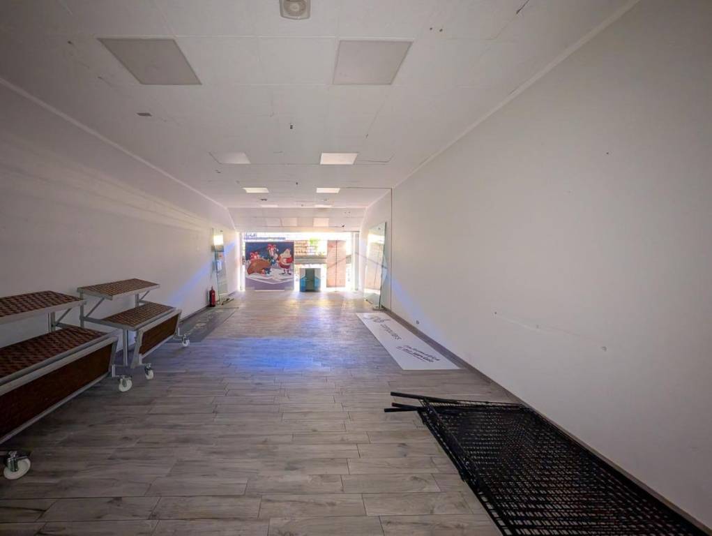 immagine annuncio 2 di 6