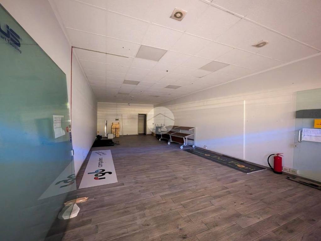 immagine annuncio 3 di 6