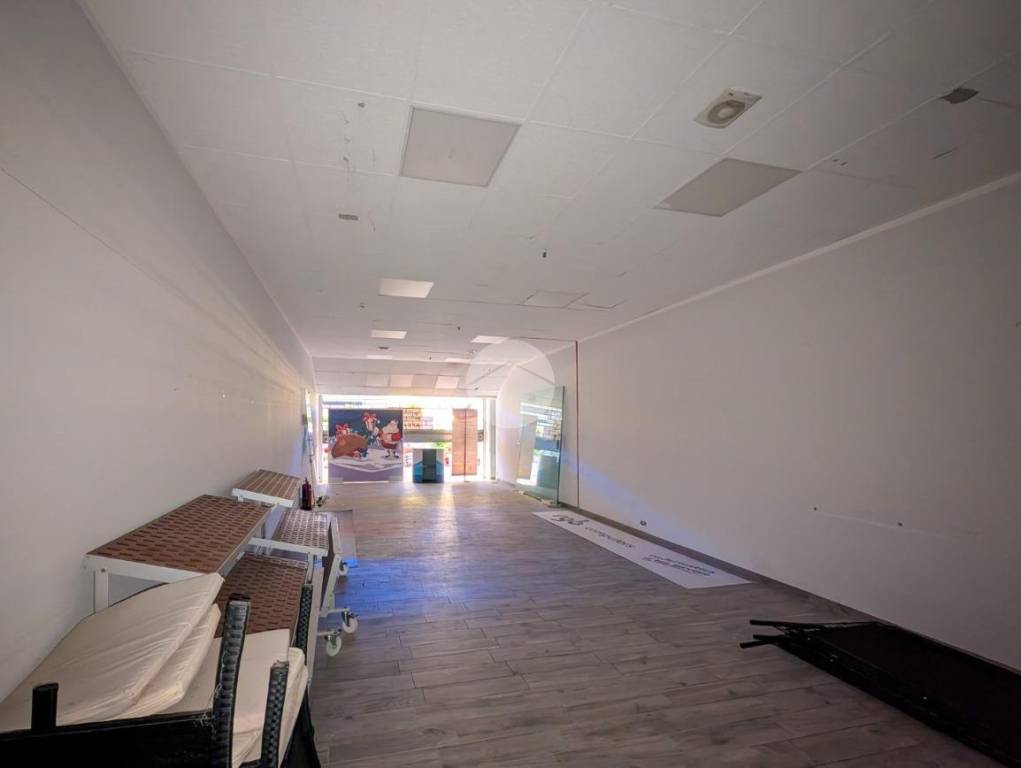 immagine annuncio 4 di 6