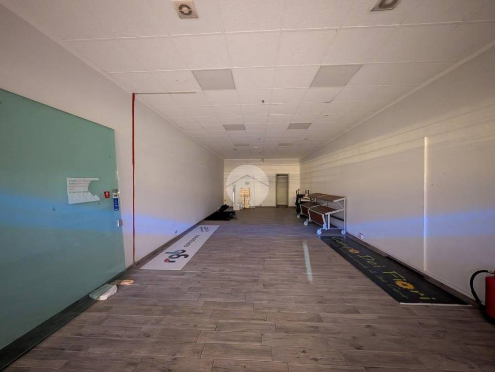 immagine annuncio 5 di 6