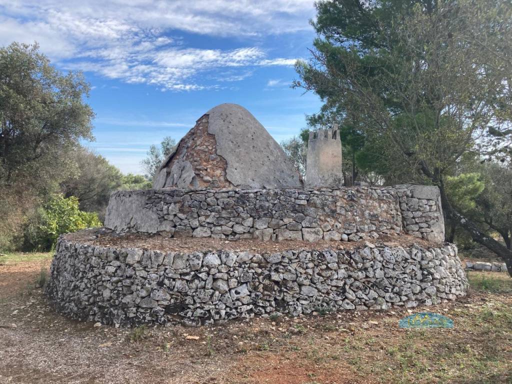 immagine annuncio 5 di 9