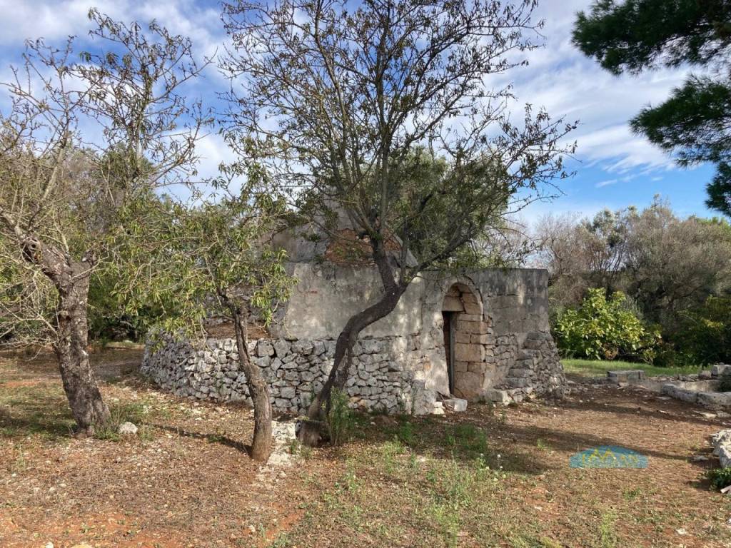 immagine annuncio 6 di 9