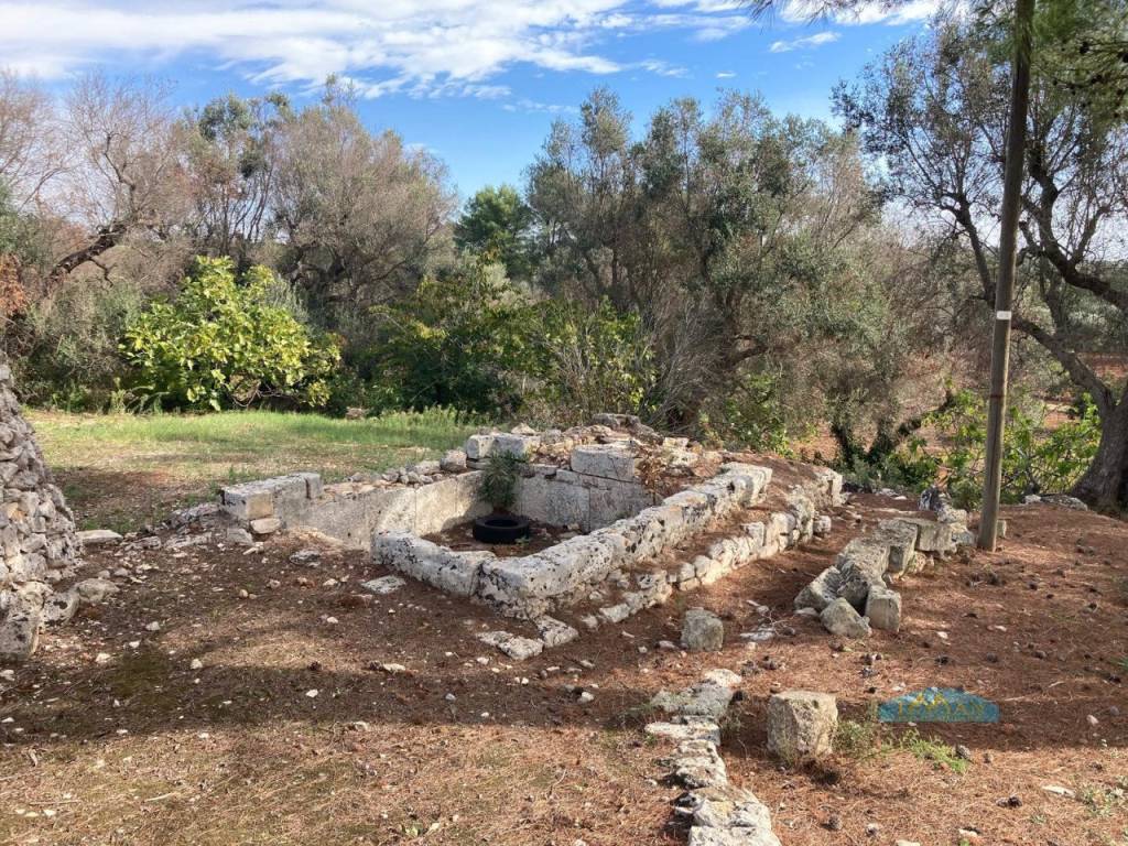 immagine annuncio 8 di 9