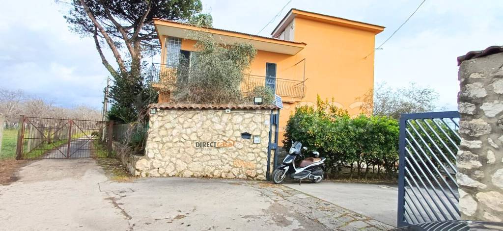 immagine annuncio 1 di 2