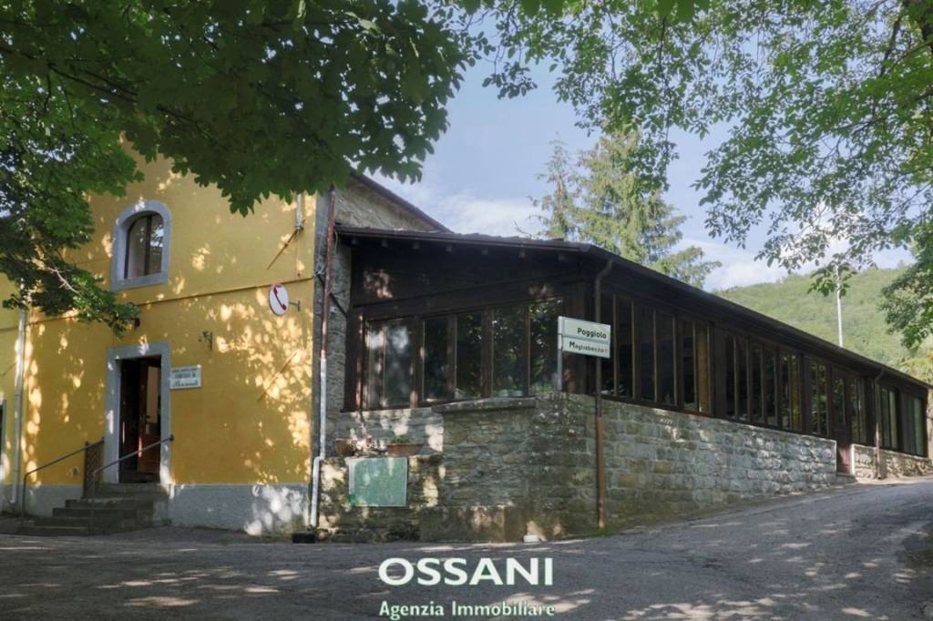 immagine annuncio 5 di 7