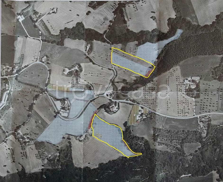 immagine annuncio 3 di 6