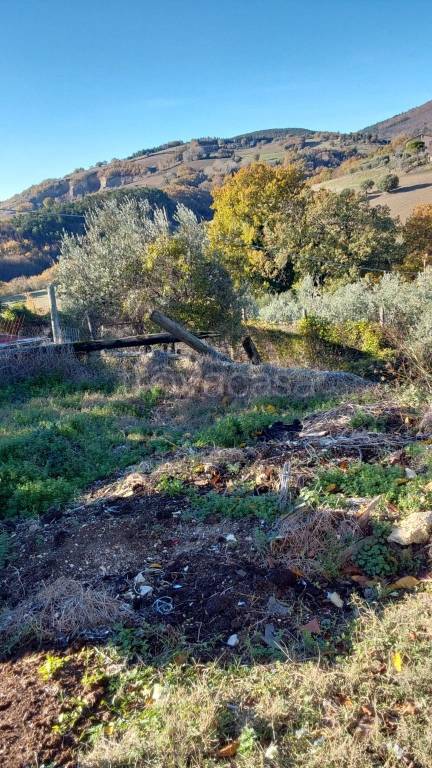 immagine annuncio 5 di 6