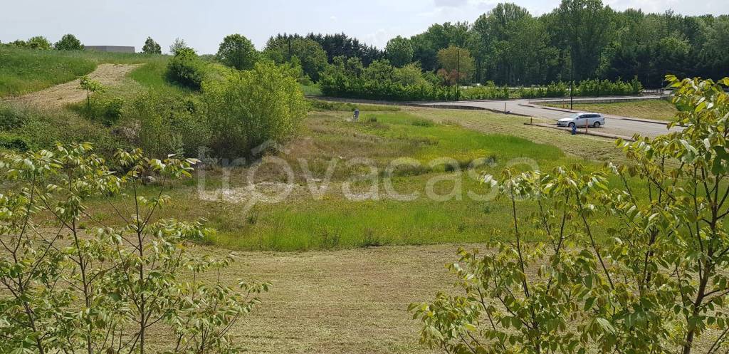 immagine annuncio 2 di 9