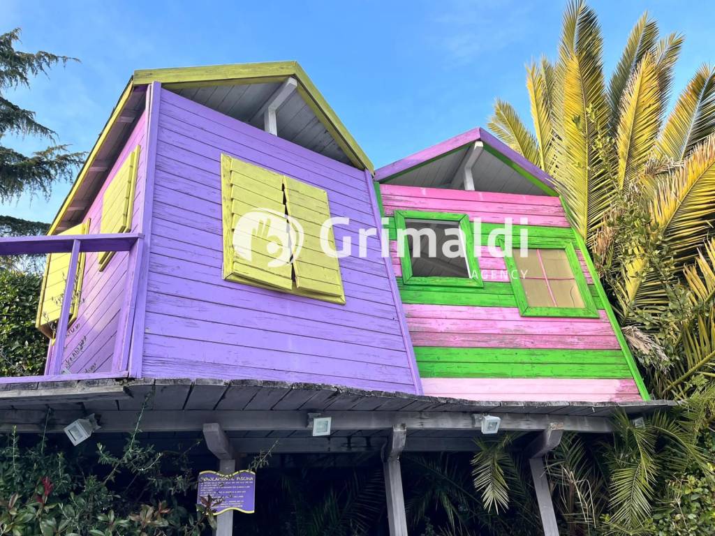 immagine annuncio 4 di 10