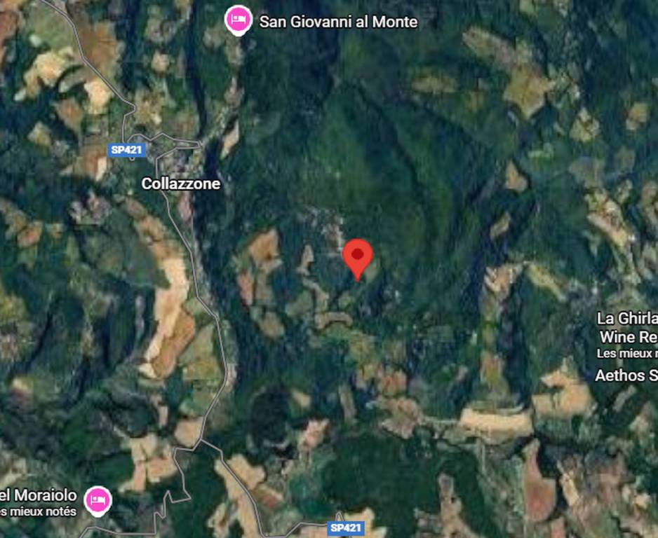 immagine annuncio 3 di 10