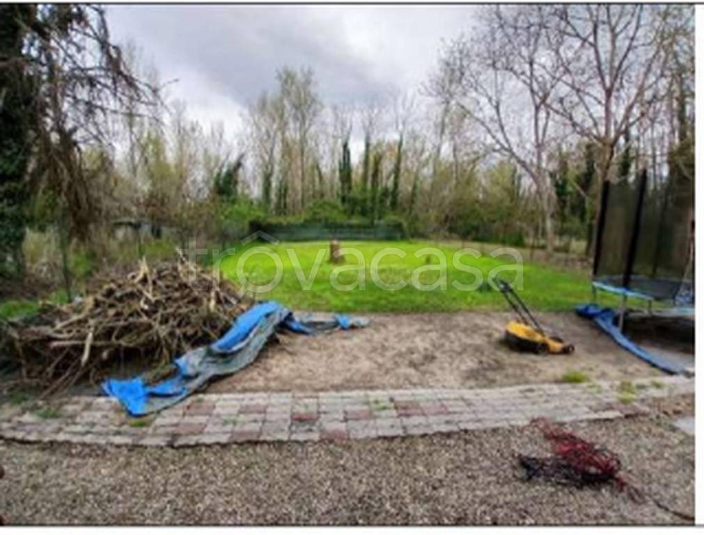 immagine annuncio 5 di 11