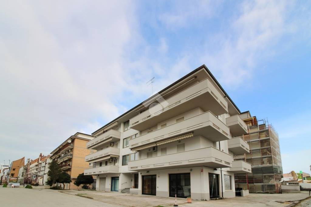 immagine annuncio 11 di 13