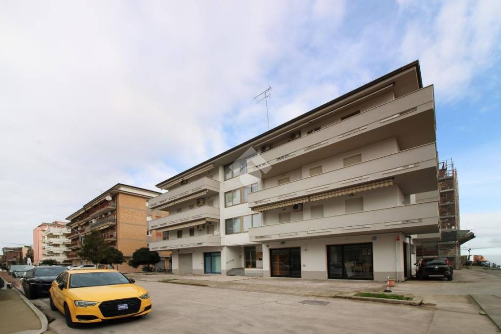 immagine annuncio 12 di 13