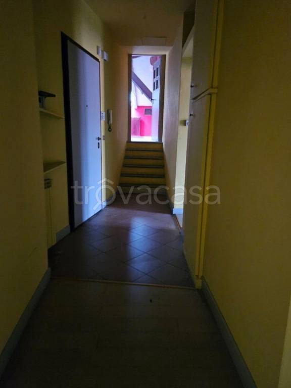 immagine annuncio 5 di 14