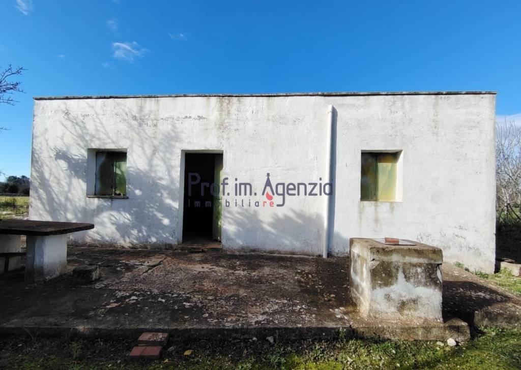 immagine annuncio 1 di 11