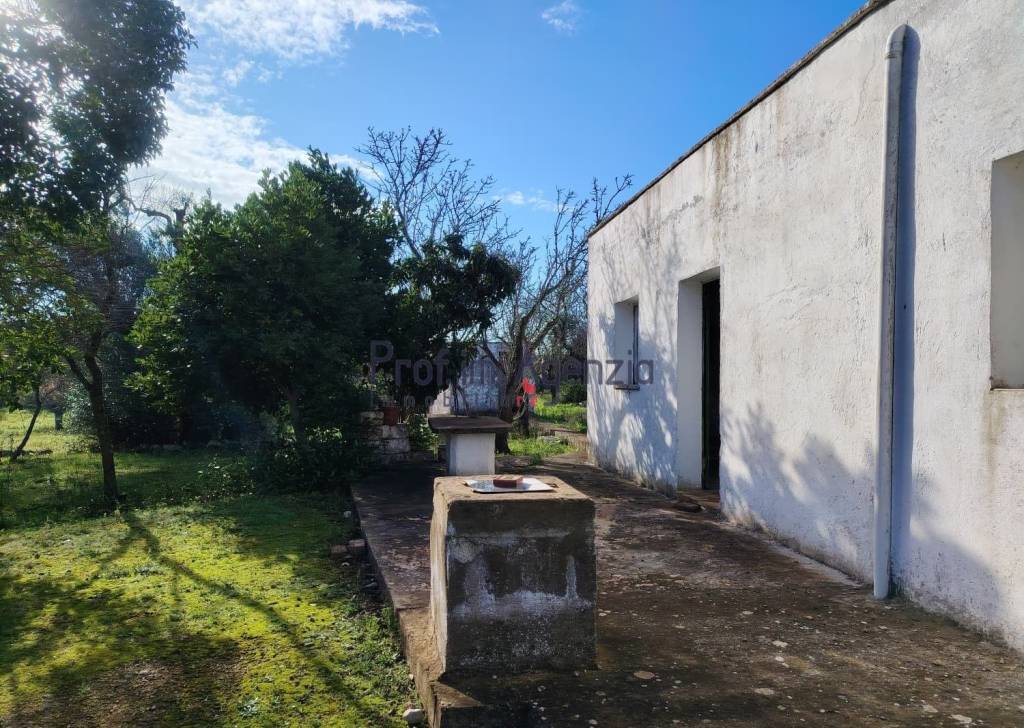 immagine annuncio 2 di 11