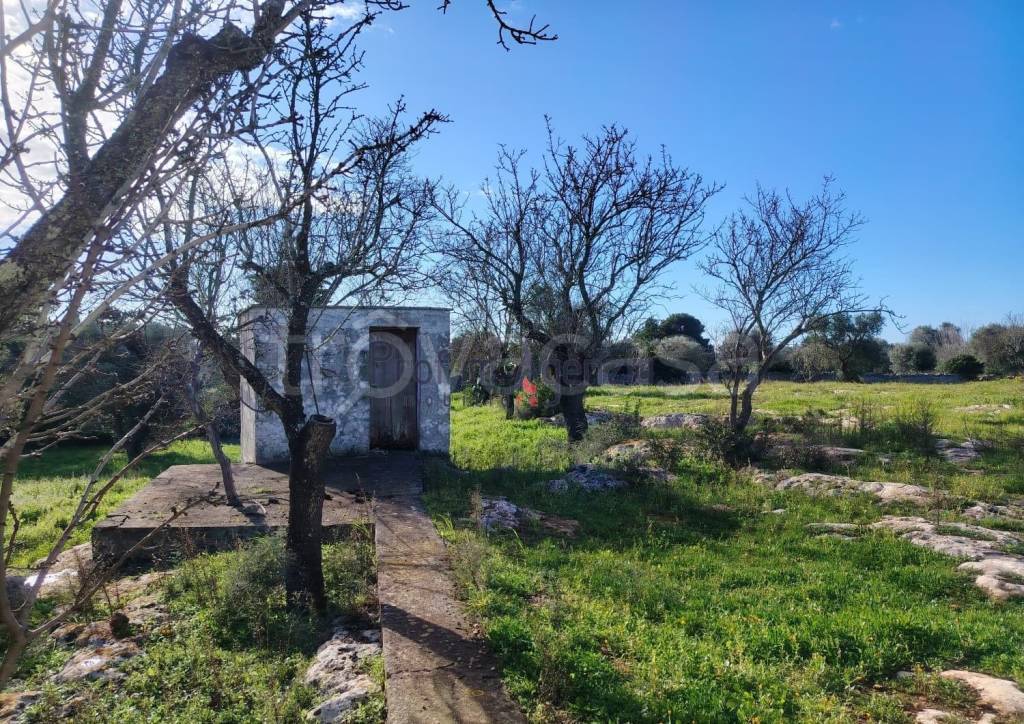 immagine annuncio 3 di 11