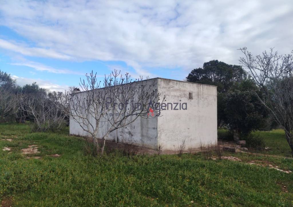 immagine annuncio 4 di 11