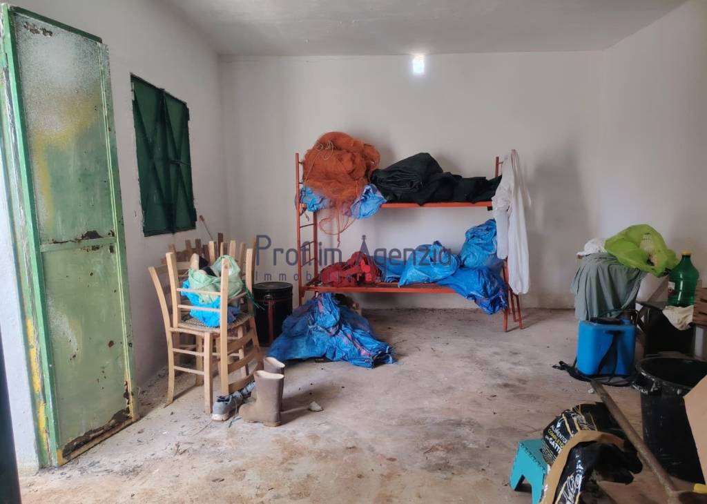 immagine annuncio 6 di 11