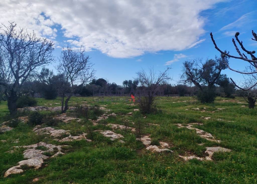 immagine annuncio 8 di 11