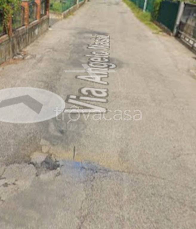 immagine annuncio 3 di 11