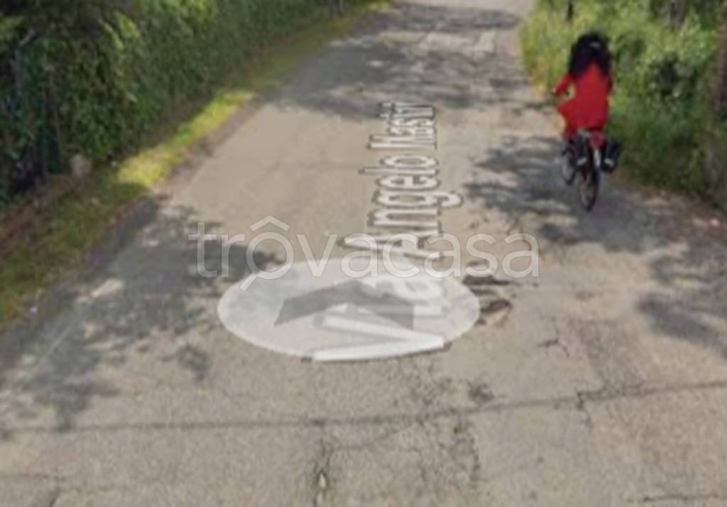 immagine annuncio 7 di 11