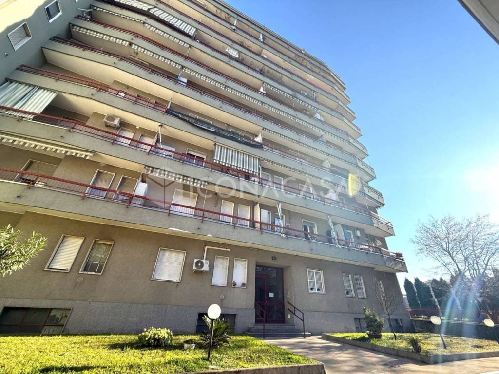 immagine annuncio 10 di 11