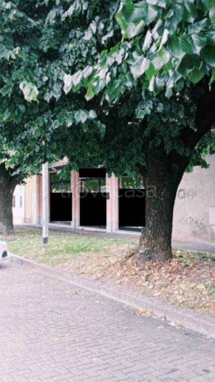 immagine annuncio 10 di 12