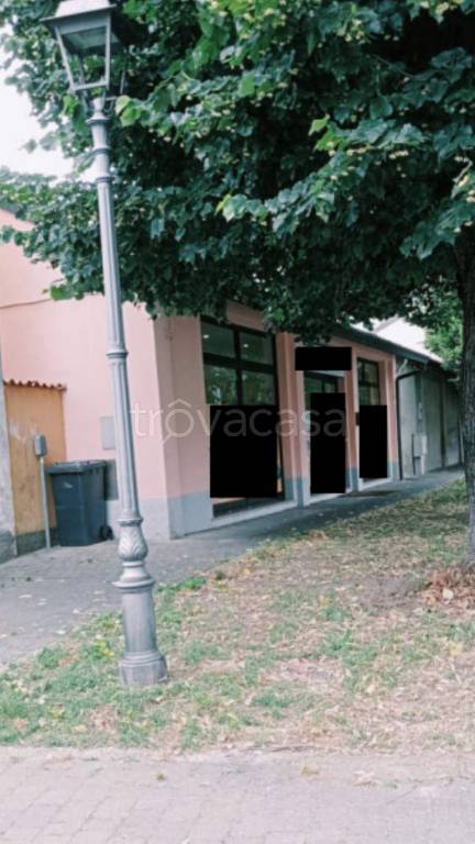 immagine annuncio 11 di 12