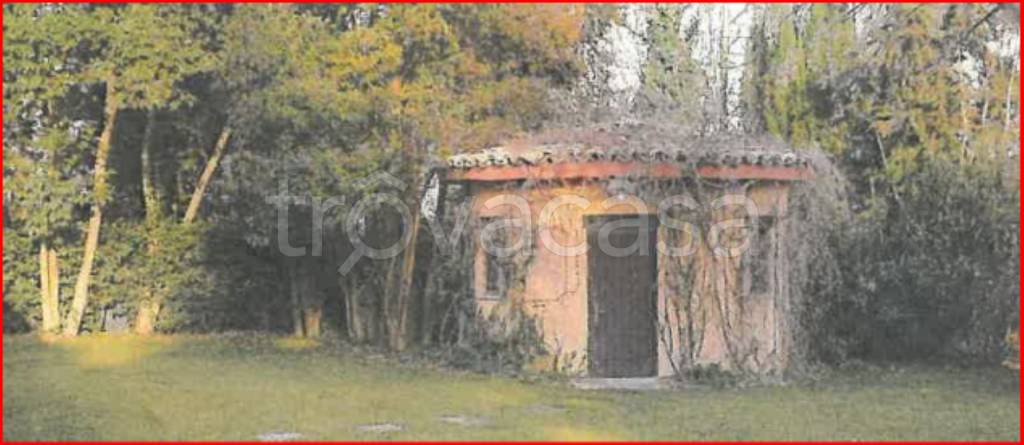 immagine annuncio 7 di 14