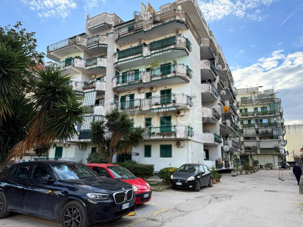 immagine annuncio 10 di 13