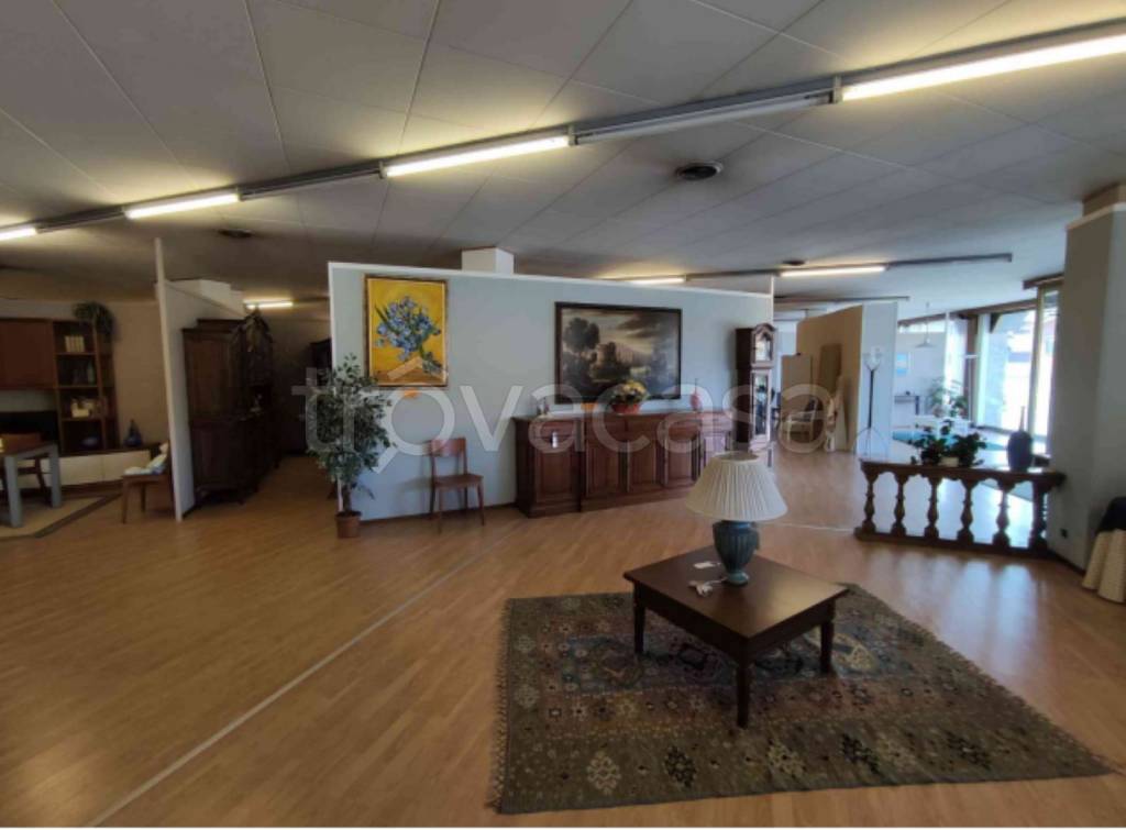 immagine annuncio 10 di 12